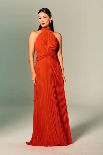 Vestido Festa Gola Alta Amarração Chiffon Plissado